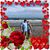 Debbie Penland Bunch's profile image