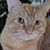 Patricia Ionata's profile image