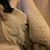 Suzanne Overgaard's profile image