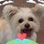 Nancy Stetler's profile image