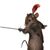 Melissa Jenkins's profile image