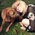 Stacey Rackham's profile image