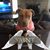 Joseph Castillo's profile image