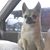 Brenda Middleton Harrison's profile image