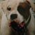 Judy L Pullins's profile image