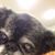 Karen Johannsen's profile image