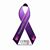 Jen Feiner Hasheider's profile image