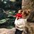 Sanaz Mansourian's profile image
