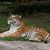 Kenna Durocher's profile image