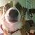 Jill Meyer McNally's profile image