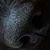 Jan Koziol's profile image