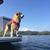 Suzanne Kleinsmith's profile image