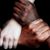 Sheryl Andrist's profile image