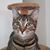 Maritza Lezcano's profile image