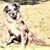 Tim NesSmith's profile image