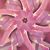 Donna Gilham Forbes's profile image