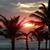 Sita Laura's profile image