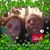 Bernie Thorp-Mohn's profile image