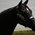 Maureen Trahan's profile image