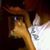 Saale Saale's profile image