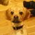 Tagrid Shunia's profile image
