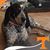 Annette Cate's profile image