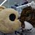 Gary Brown's profile image