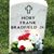 Dianne Johnson Sterling's profile image