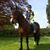 Kate 'Pinky' Prosser's profile image