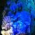 Donna Young's profile image
