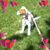 Karen Larson's profile image