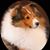 Jimmy Hudson's profile image