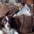 Janine Myhre's profile image