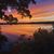 Darlene Zellmer's profile image