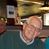 Rene Larrivee's profile image