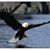 Sjouke Geurs's profile image