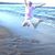 Missy Schliep's profile image