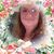 Vanessa Holston's profile image