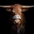 Bryce Murphree's profile image