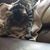Stephanie Johnson Wendling's profile image