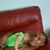 Dayner Cordero's profile image