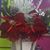 Eduvijes De Reyes's profile image