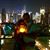 Shelly Stevens-Coltman's profile image