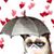 Debby Dimitry Thornton's profile image