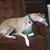 Scott L Newcomb's profile image