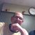 Jay Bruno's profile image
