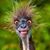 James Cowfer's profile image