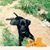 Linda Miller Mchugh's profile image