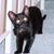 Cathie Olivares's profile image