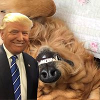Jeff Hinton's profile image